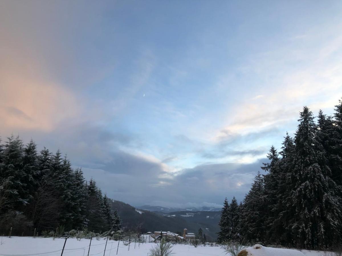 Le Chalet De La Goutte Saint-Appolinaire  Kültér fotó