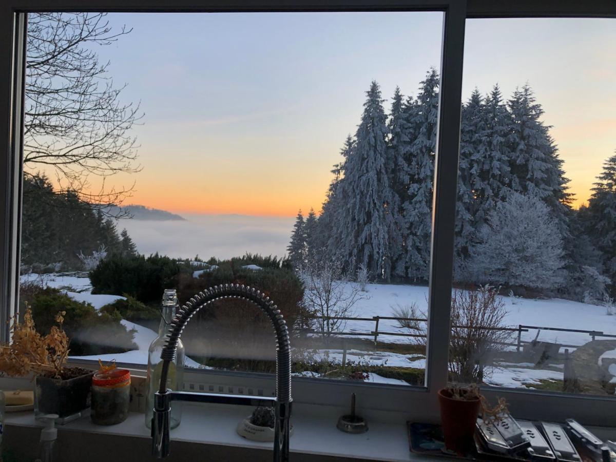 Le Chalet De La Goutte Saint-Appolinaire  Kültér fotó
